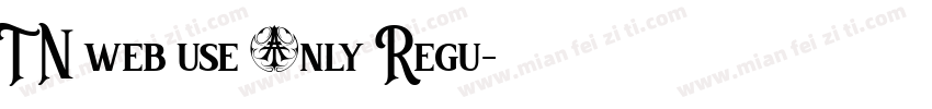 TN web use only Regu字体转换
